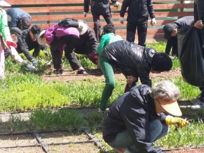 장안구 옥상정원 가꾸기 사업 추진